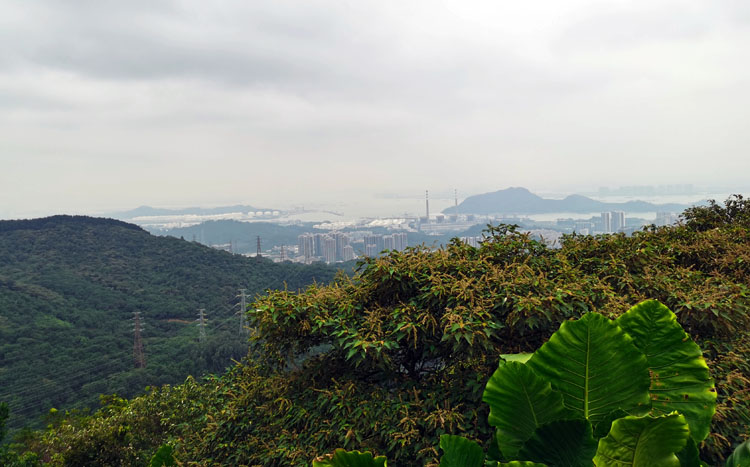 激扬青春、奋勇攀登登山活动